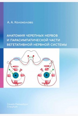 Анатомия черепных нервов и парасимпатической части вегетативной нервной системы