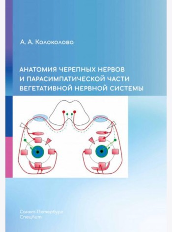 Анатомия черепных нервов и парасимпатической части вегетативной нервной системы
