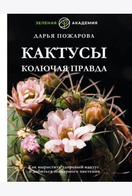 Кактусы. Колючая правда