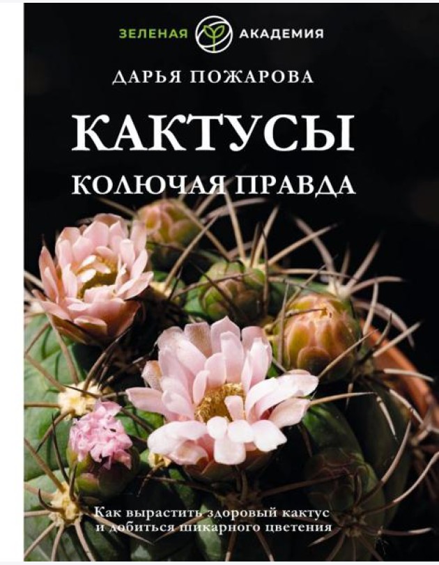 Кактусы. Колючая правда