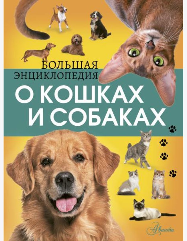 Большая энциклопедия о кошках и собаках