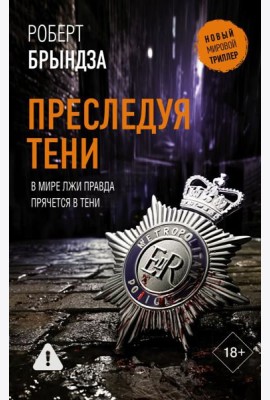 Преследуя тени: роман