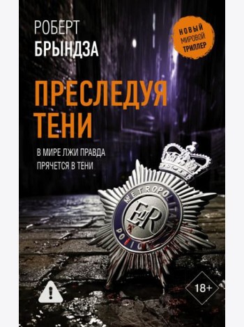 Преследуя тени: роман