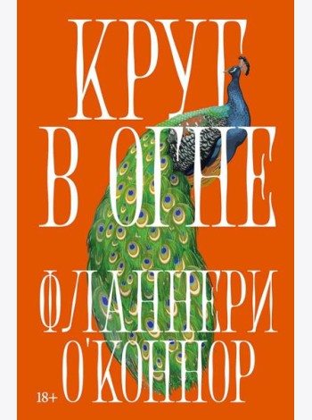 Круг в огне: Рассказы