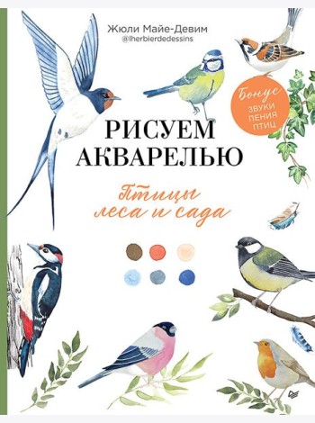 Рисуем акварелью: птицы леса и сада