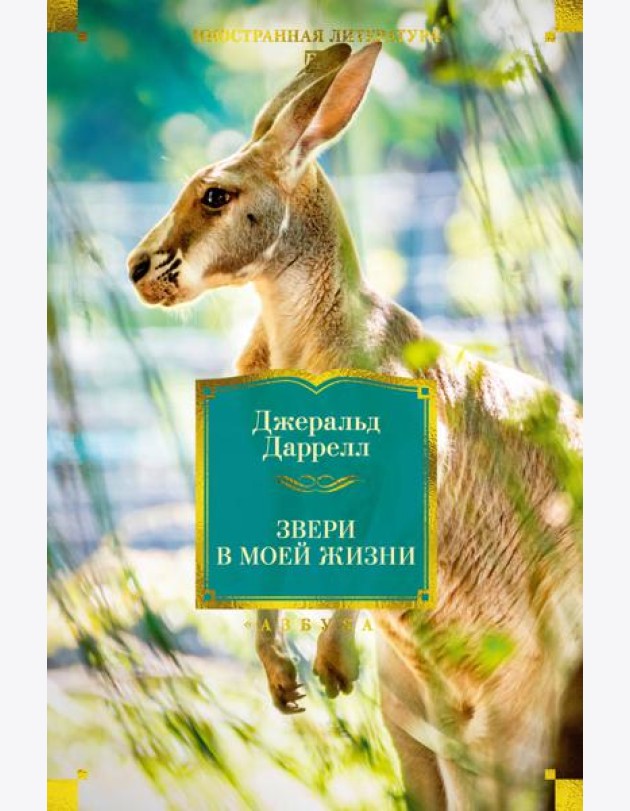 Звери в моей жизни