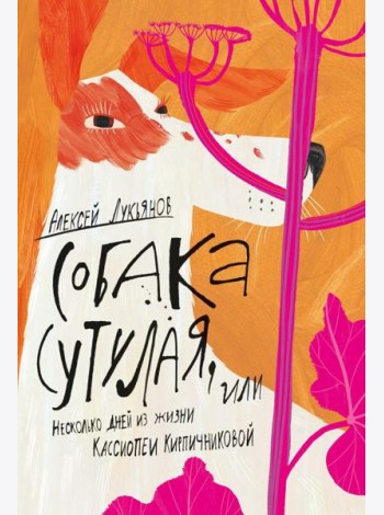 Собака сутулая, или Несколько дней из жизни Кассиопеи Кирпичниковой