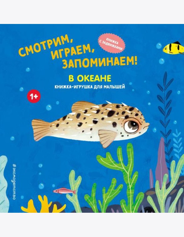 Смотрим, играем, запоминаем! В океане