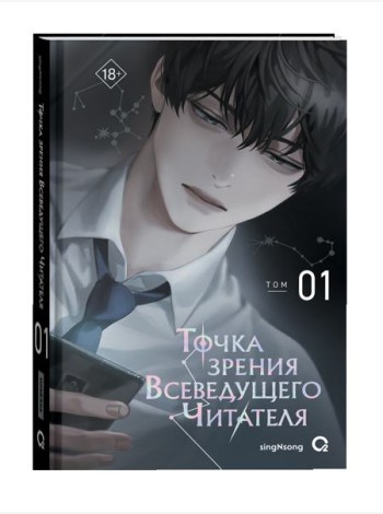 singNsong. Точка зрения Всеведущего читателя. Том 1