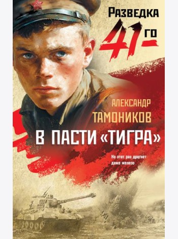 В пасти «тигра»