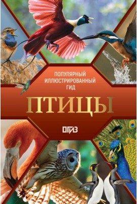 Птицы. Иллюстрированный гид