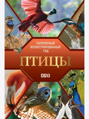 Птицы. Иллюстрированный гид