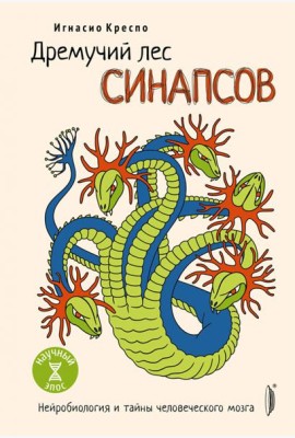 Дремучий лес синапсов. Нейробиология и тайны челов