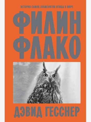 Филин Флако: История самой знаменитой птицы в мире