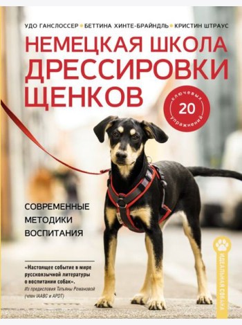 Немецкая школа дрессировки щенков: современные методики воспитания