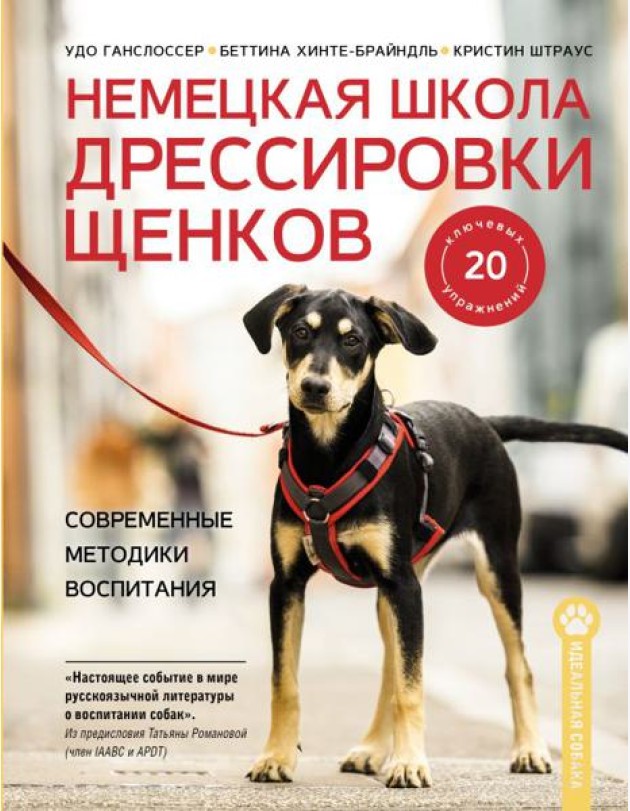 Немецкая школа дрессировки щенков: современные методики воспитания