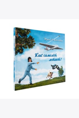 Как самолет летает?