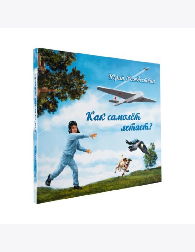 Как самолет летает?