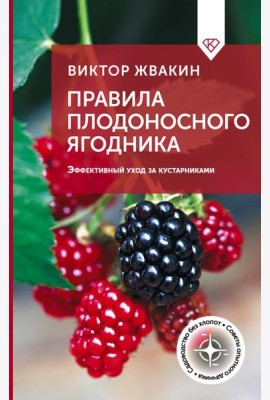Правила плодоносного ягодника. Эффективный уход за кустарниками