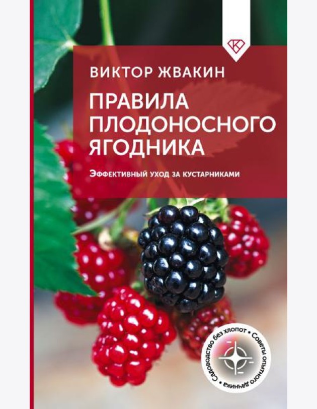 Правила плодоносного ягодника. Эффективный уход за кустарниками
