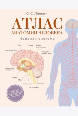 Атлас анатомии человека. Нервная система