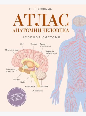 Атлас анатомии человека. Нервная система