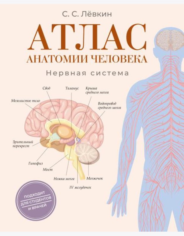 Атлас анатомии человека. Нервная система