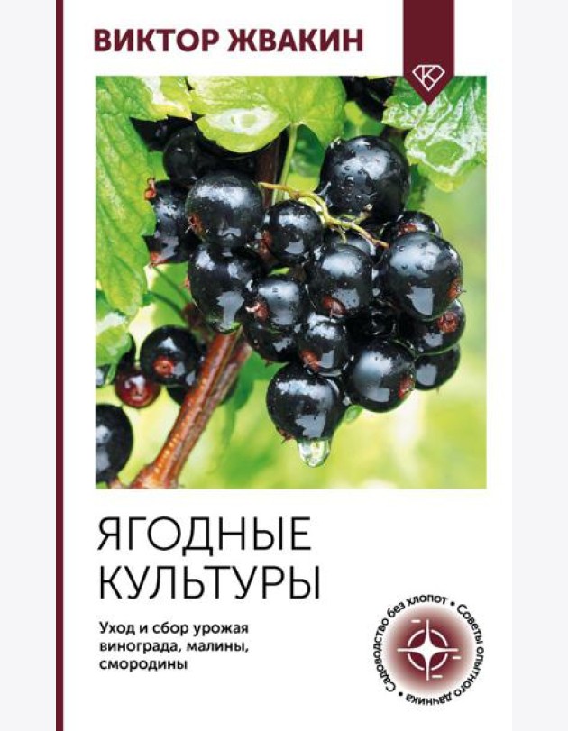 Ягодные культуры. Уход и сбор урожая винограда, малины, смородины
