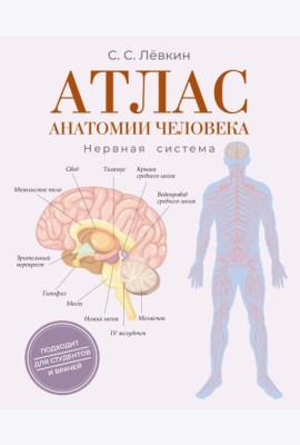 Атлас анатомии человека. Нервная система