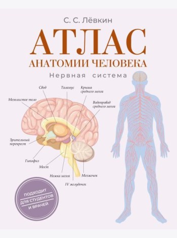 Атлас анатомии человека. Нервная система