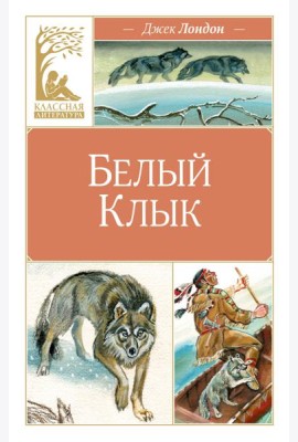 Белый клык