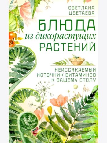 Блюда из дикорастущих растений. Неиссякаемый источник витаминов к вашему столу