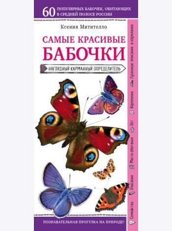 Бабочки. Наглядный карманный определитель (для ПР)