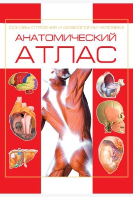 Анатомический атлас. Основы строения и физиологии человека