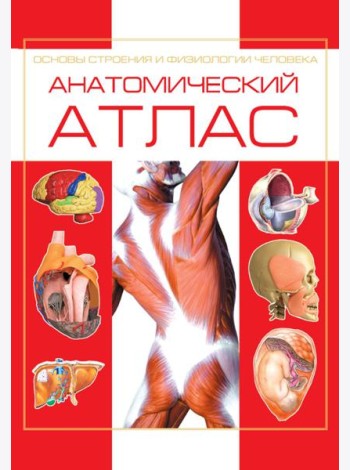 Анатомический атлас. Основы строения и физиологии человека