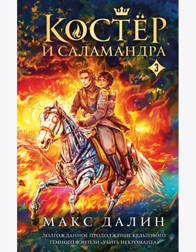 Костер и Саламандра. Книга 3