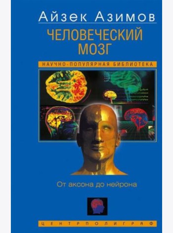 Человеческий мозг. От аксона до нейрона