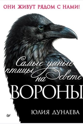 Самые умные птицы на свете. Вороны