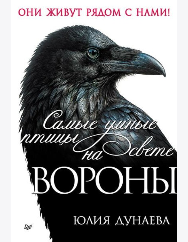 Самые умные птицы на свете. Вороны