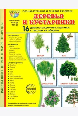 Деревья и кустарники. 16 демонстрационных картинок с текстом на обороте