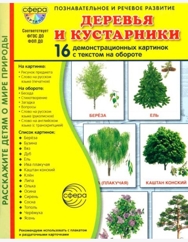 Деревья и кустарники. 16 демонстрационных картинок с текстом на обороте
