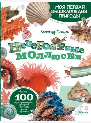 Невероятные моллюски