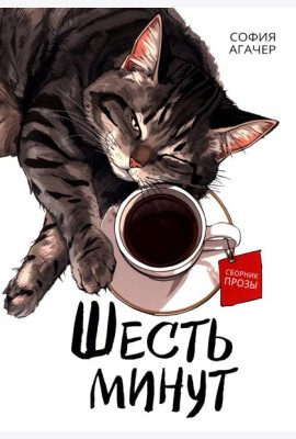 Шесть минут