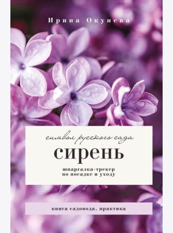 Сирень. Символ русского сада. Шпаргалка-трекер по посадке и уходу