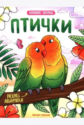 Птички: книжка-раскраска