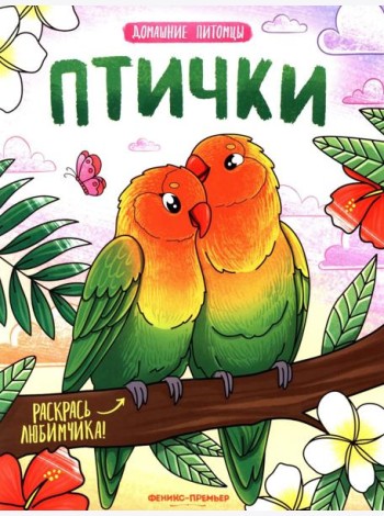 Птички: книжка-раскраска
