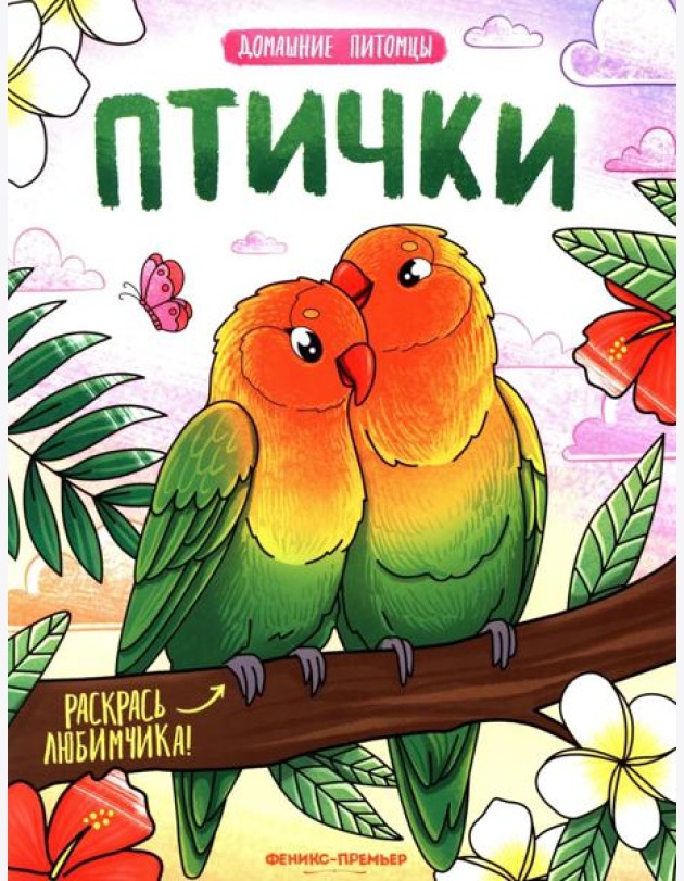 Птички: книжка-раскраска