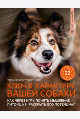 Ключ к характеру вашей собаки: как через игру понять мышление питомца и раскрыть его потенциал