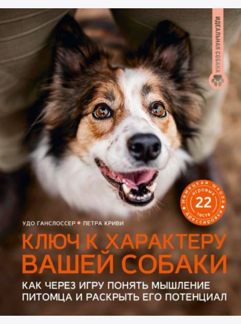 Ключ к характеру вашей собаки: как через игру понять мышление питомца и раскрыть его потенциал