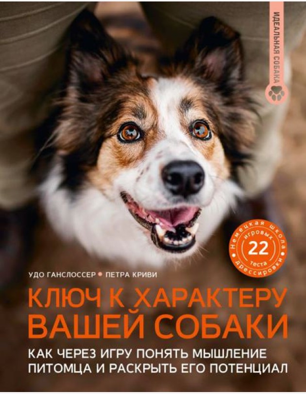 Ключ к характеру вашей собаки: как через игру понять мышление питомца и раскрыть его потенциал